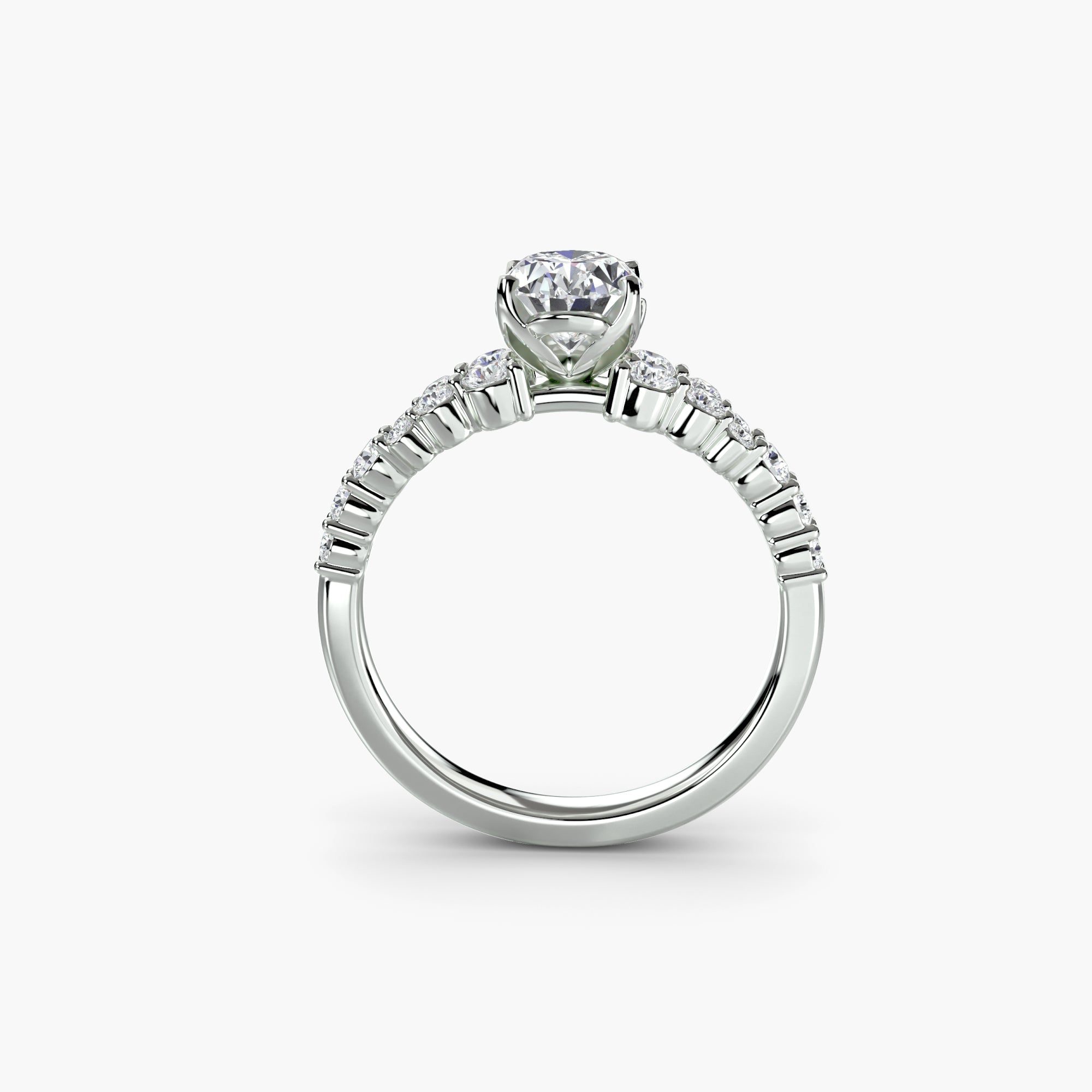 The "Nova" Celestial Ring
