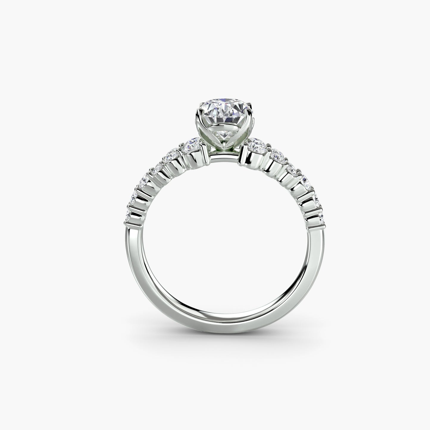 The "Nova" Celestial Ring