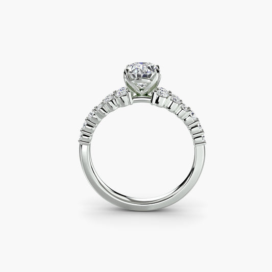 The "Nova" Celestial Ring